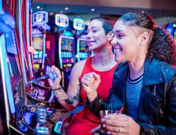 w33win Live Casino